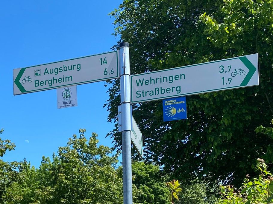 Riegele Zukunftswaldtour.jpg