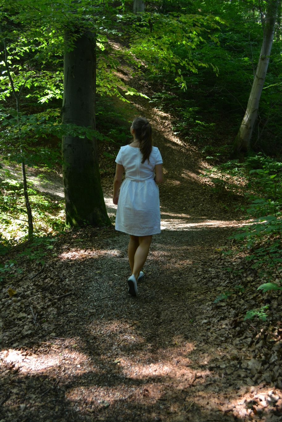 955,Haldenburg_Schwabegg_ CC BY SA_Beatrix Böck (6).JPG