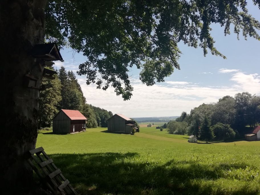 Osterberg-Weiler Ausblick auf Rothtal 06-2020©Engel-Benz.jpg