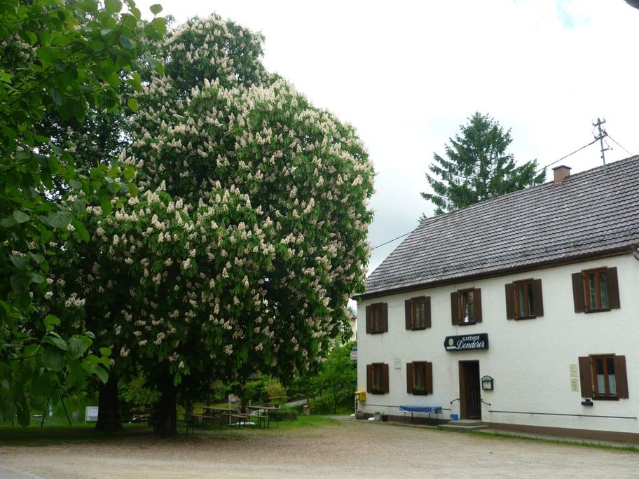 Landgasthof Grüner Baum
