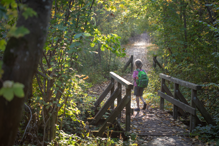 Familienwanderung auf dem DonAUwald