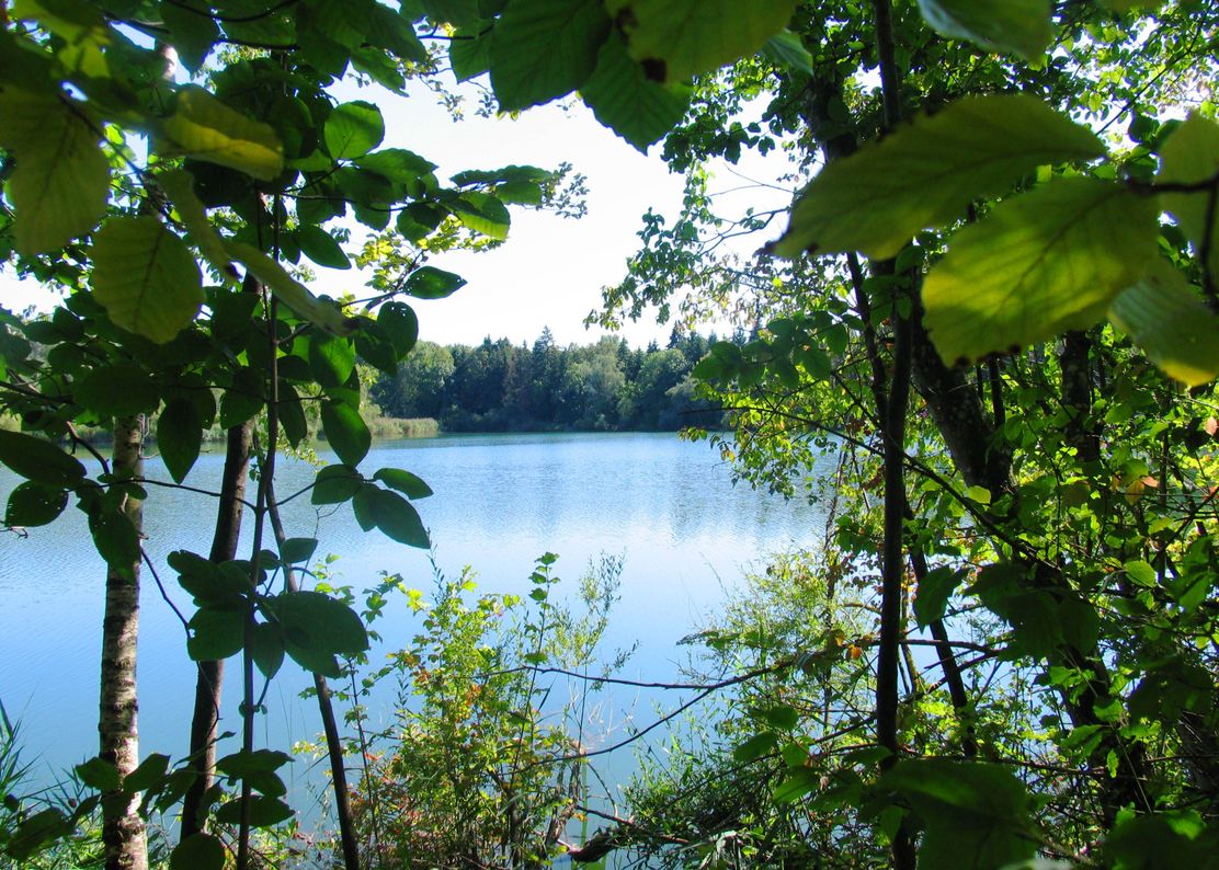 Nersinger Seenplatte