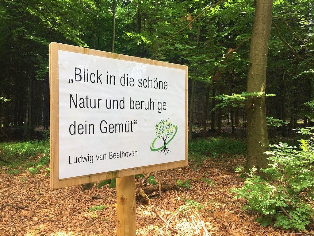 Waldbaden-Ruheplätze