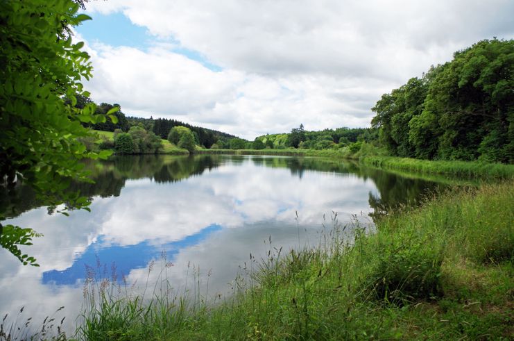 Walldidyllen-T._Anhauser-Tal1_c_NaturparkvereinAWW.jpg