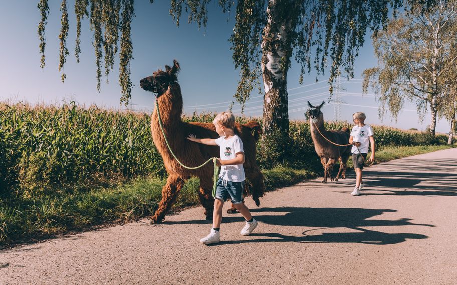 Kinder bei einer Lamawanderung in Buch