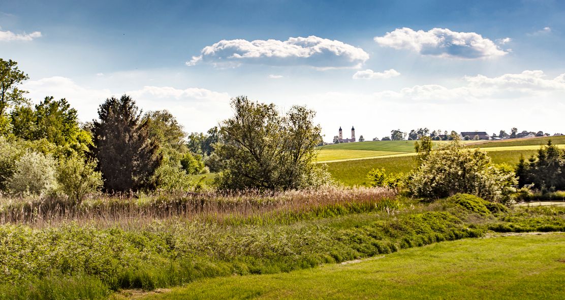 Streifzüge Roggenburger Klosterblick