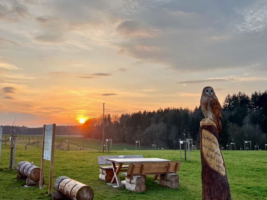 Streuobstwiese SternenKinder Wald Biberach