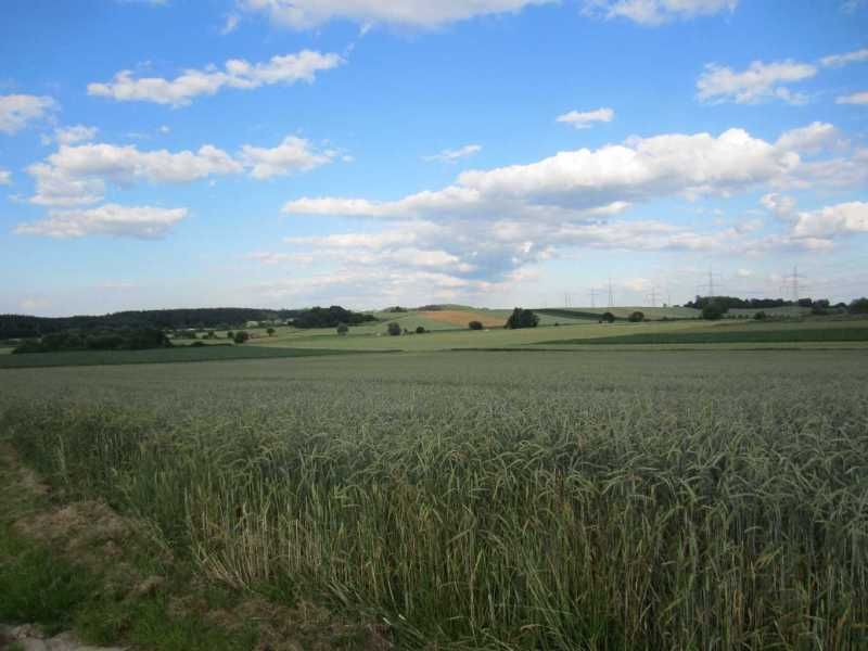 Blick auf die Felder nach dem Reiterhof Schwetzky Bellenberg