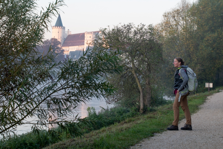Blick auf das Herzogschloss Lauingen
