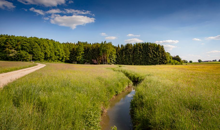 Streifzüge Roggenburger Klosterblick