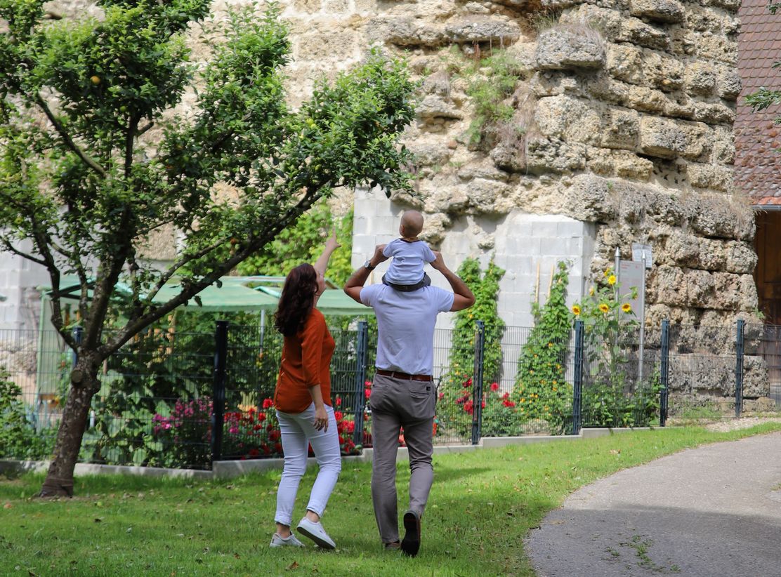 Otto-Scheider-Rundweg, Julia Pietsch.jpg