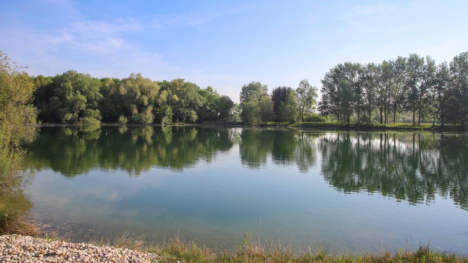 Badesee Ellgau_Julia Pietsch.jpg