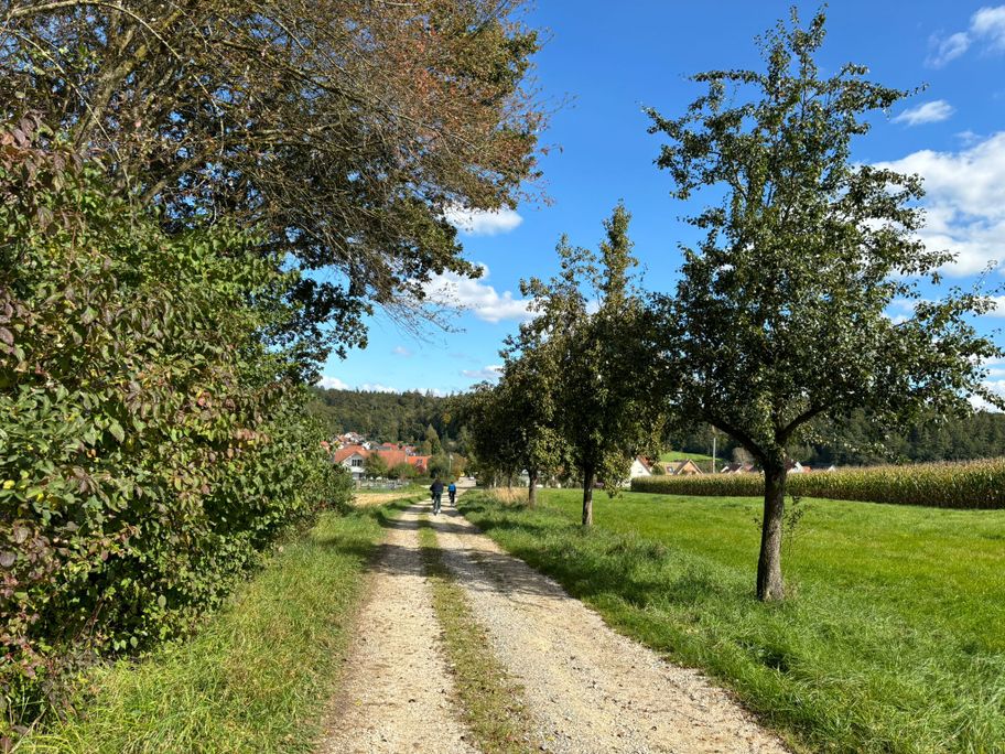 Feldweg Edenhausen