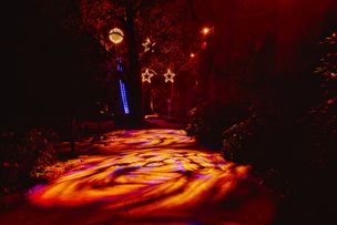 Lichtmaler Fotografie, René Hodr