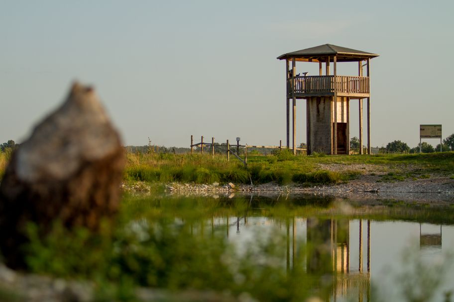 Vogelbeobachtungsturm am Mooswaldsee.