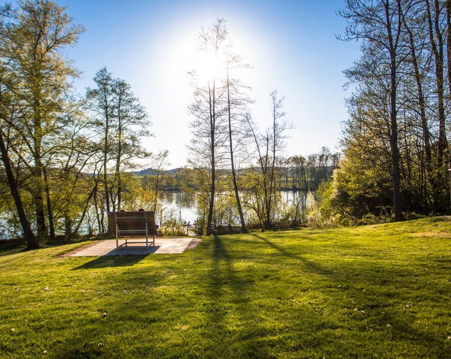 Streifzüge Weiherpfade