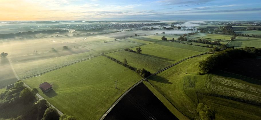 Ausblick auf das Langenauer Ried