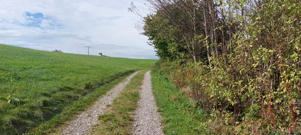 Weg nach Olgishofen