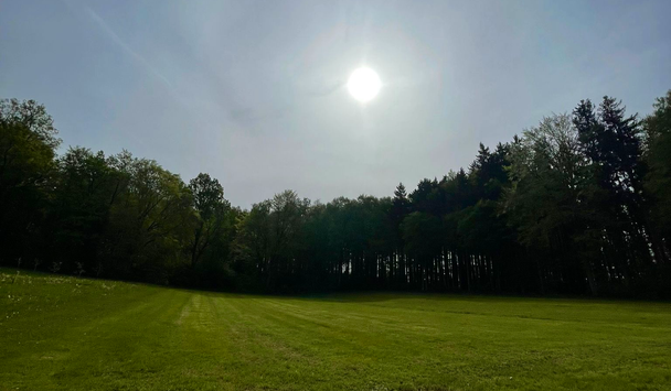 Blick auf den Wald