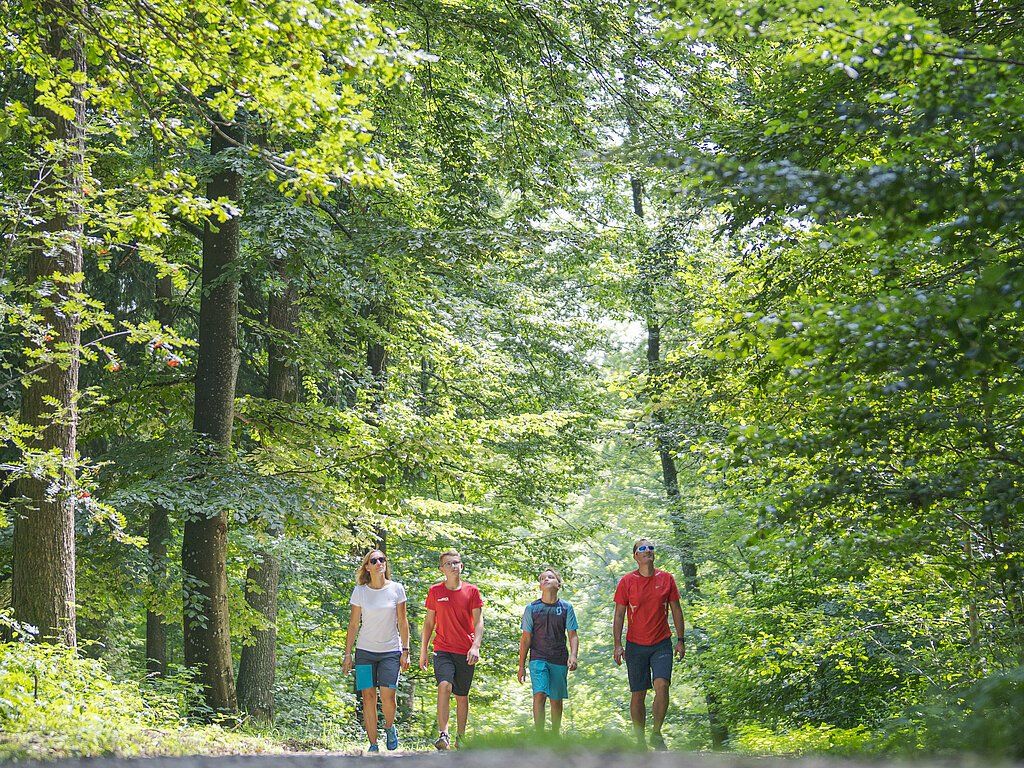 Themenpfad „Zukunftswald Monheim“