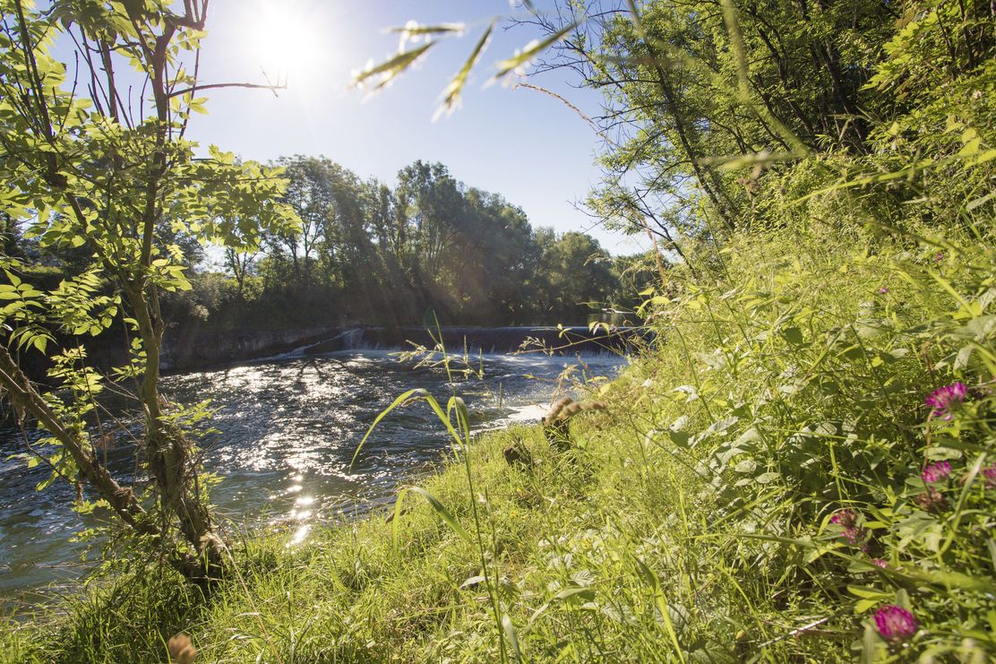 Wehr der Iller bei Kellmünz