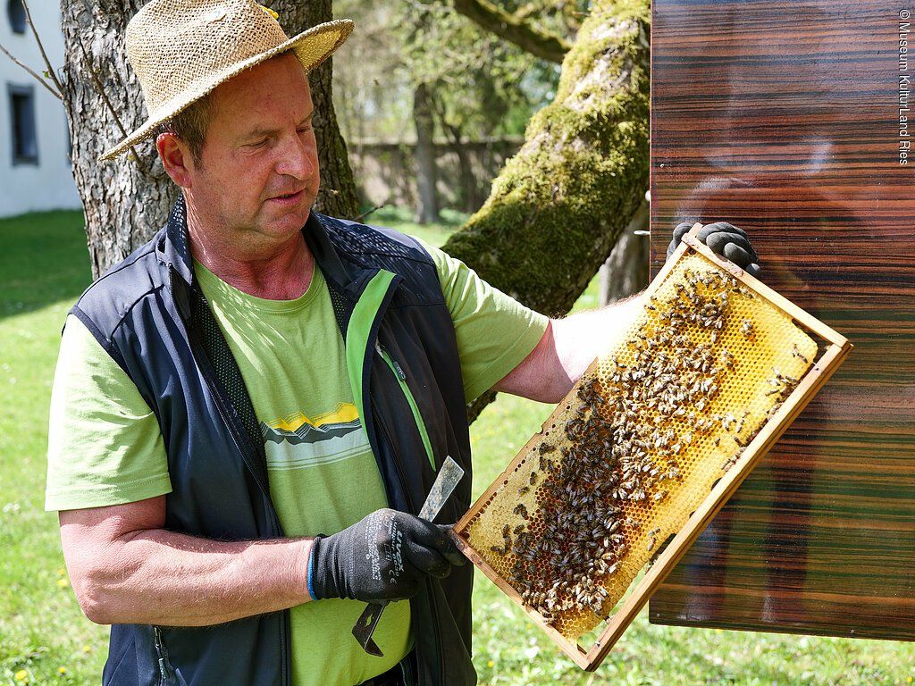 Wie kommt der Honig ins Glas? | Imkern für alle