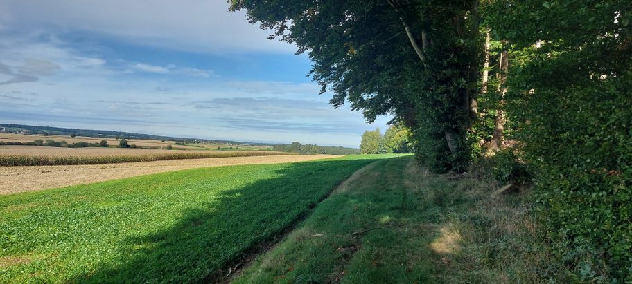 Ausblick in das weite Günztal.