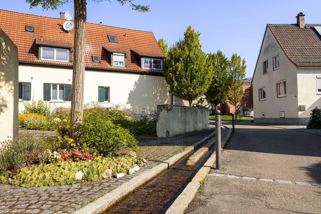 Unteres Brunnental Lauingen