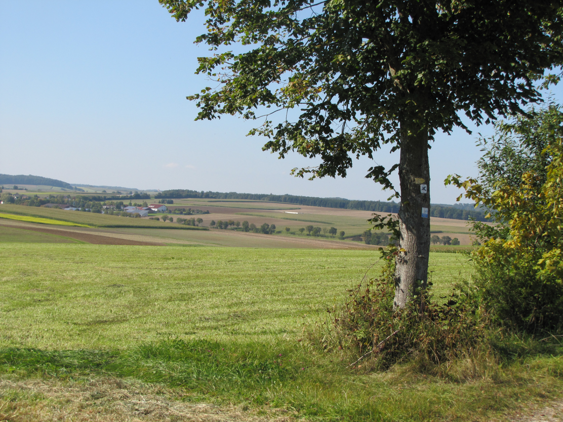 Blick auf Zoltingen