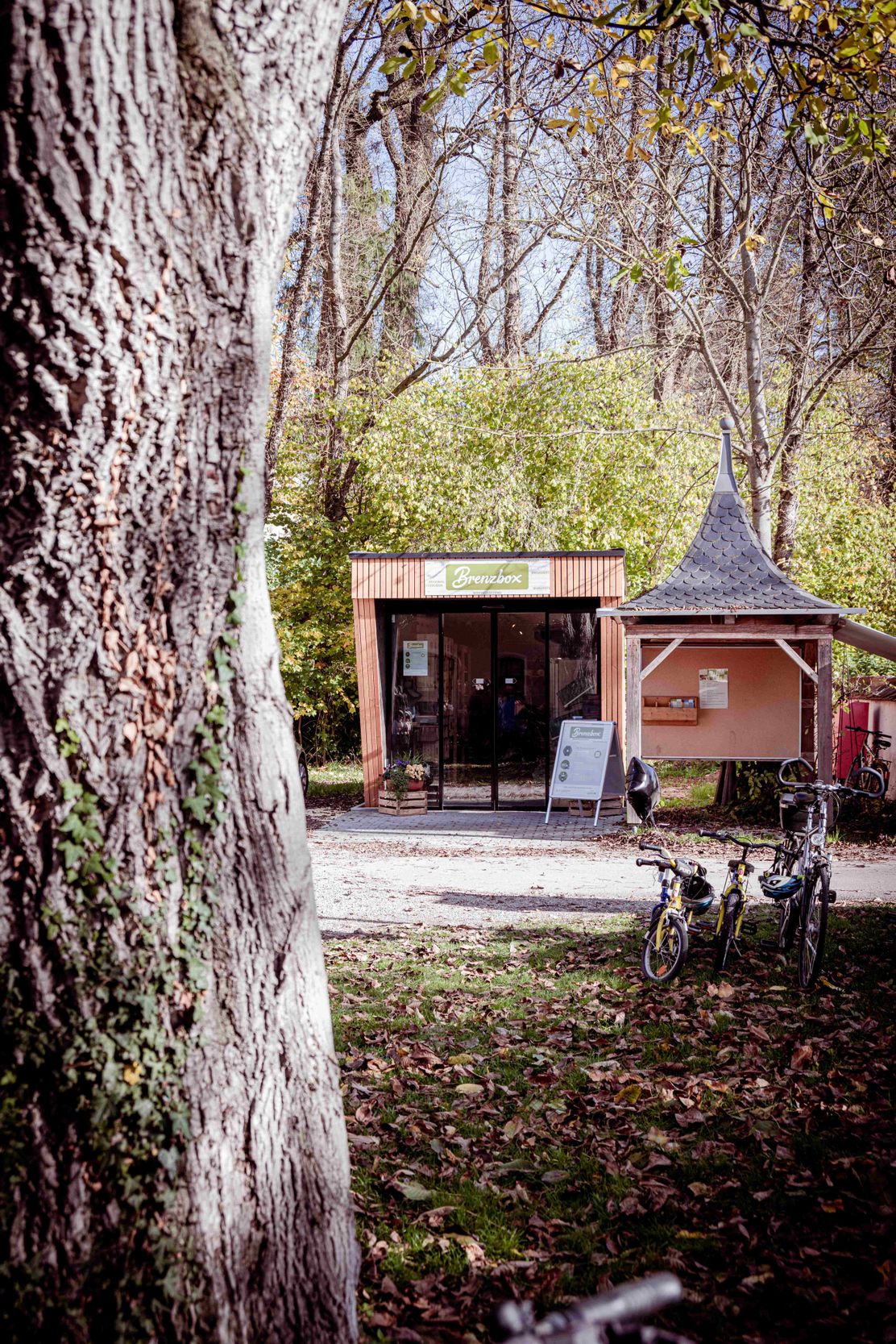 DSC_4099 bearb.AW.jpg