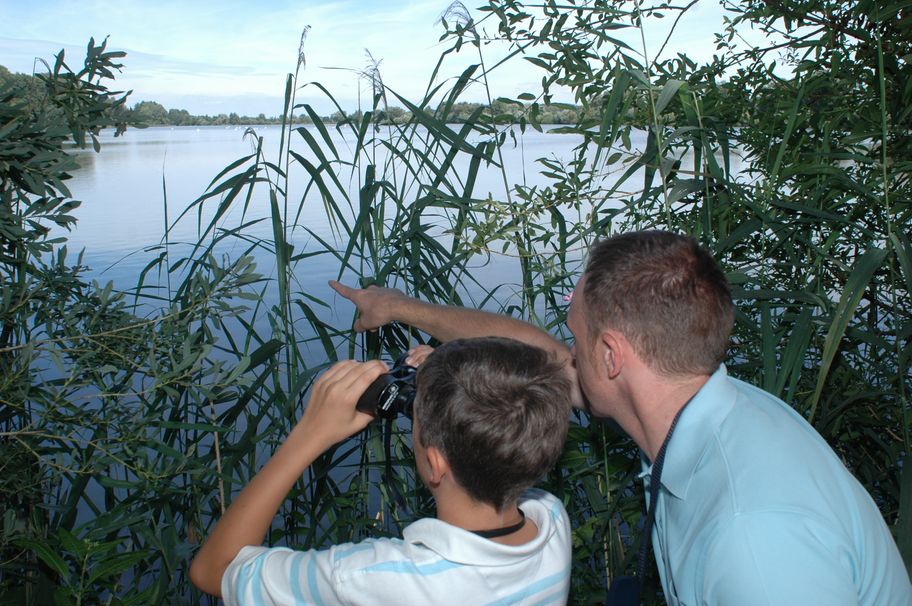 Tierbeobachtung Oberegger Stausee