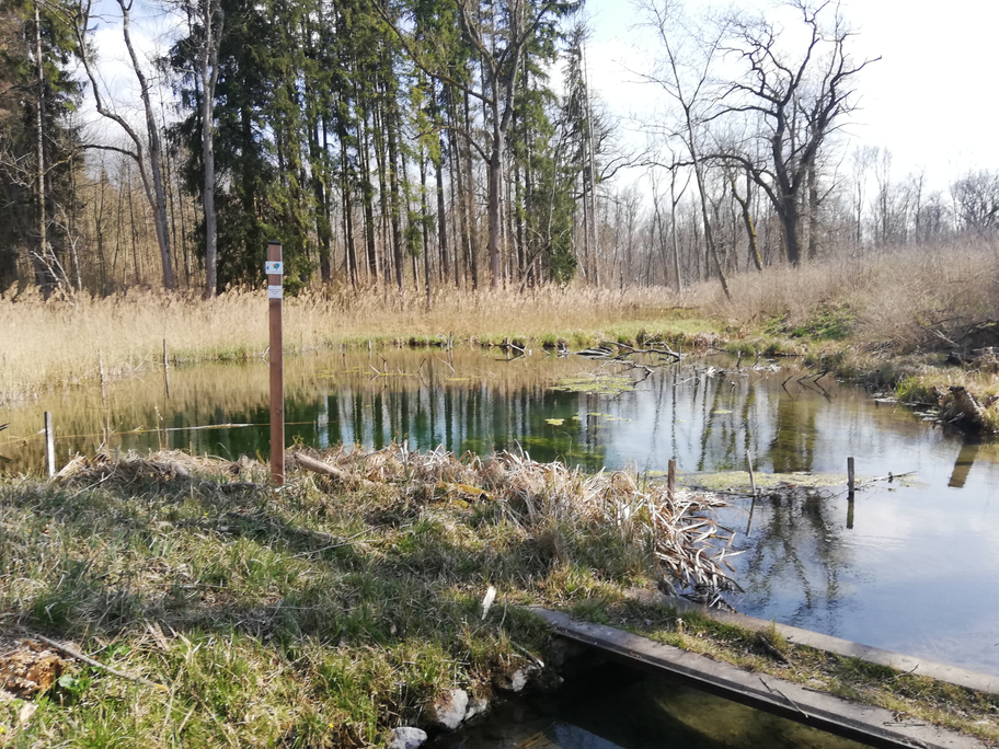 Altarm nach Offingen