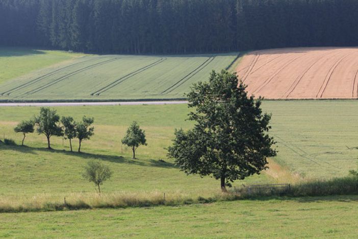 Biolandhof Ritter