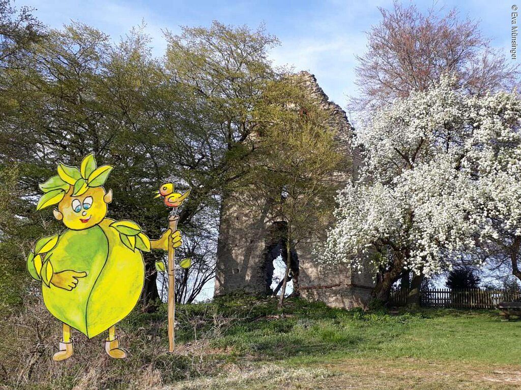 Titelbild