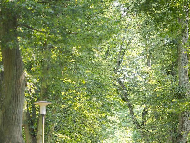 16308655_donauwoerth-promenade_dd.jpg