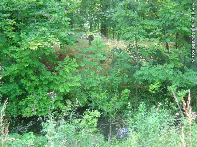 Keltische Viereckschanze