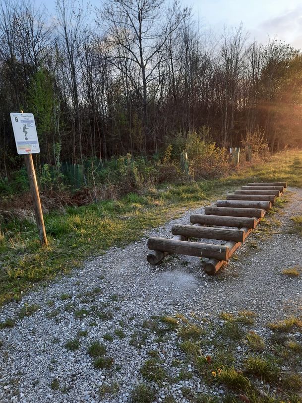 Station des Trimm-Dich-Pfades