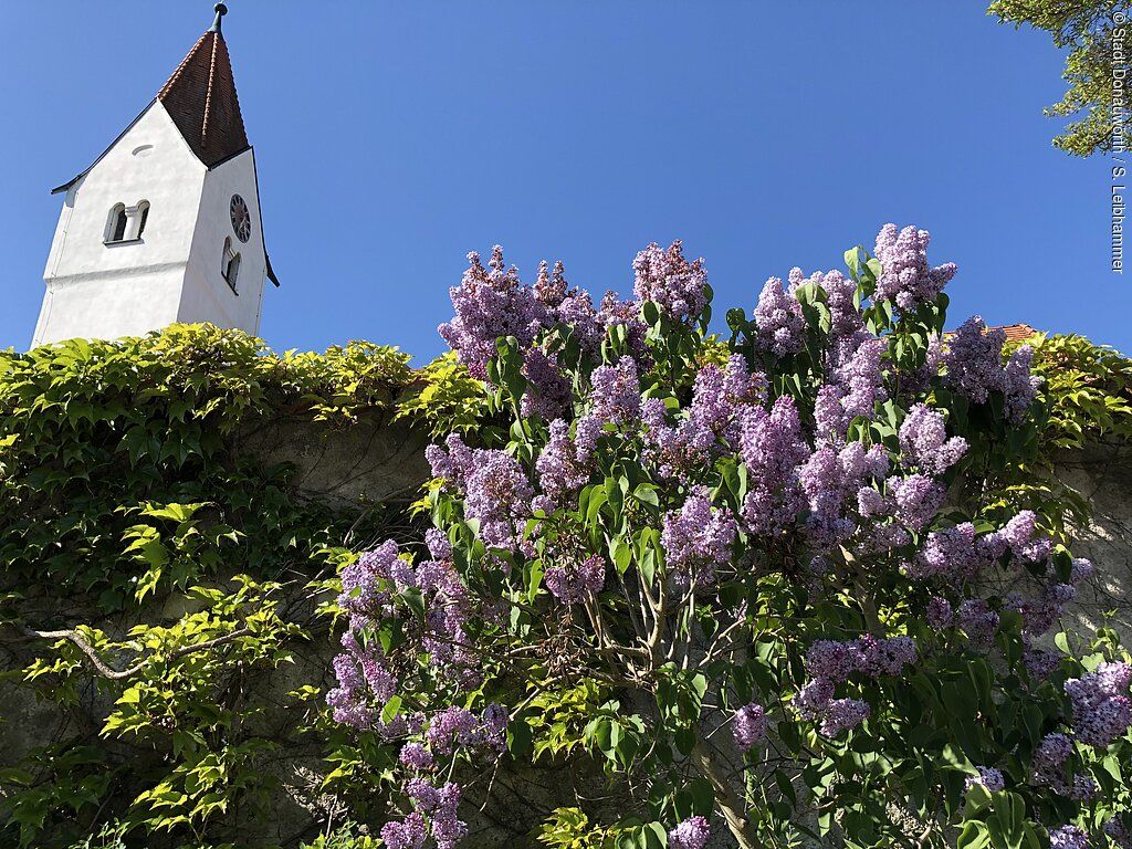 Kath. Pfarrkirche Maria Immaculata