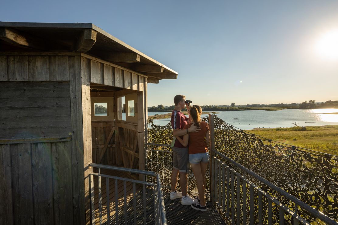 Vogelbeobachtung am Plessenteich
