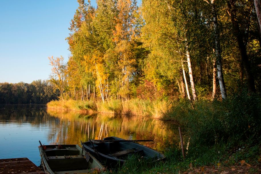 Herbstlicher DonAUwald
