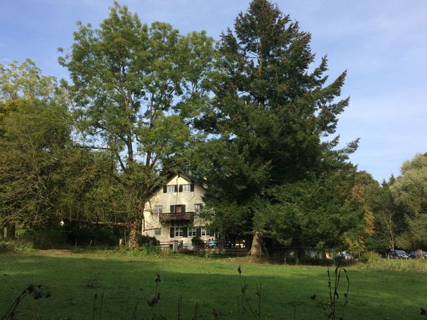 Obenhausener Ried - Exkursion für Familien (Kinder ab 8 Jahren), Jung und Alt