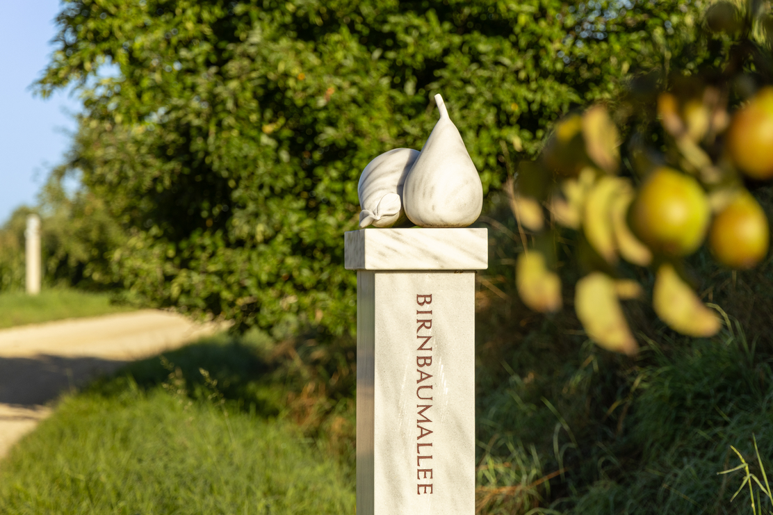 Birnbaumallee zwischen Possenried und Hohenreichen bei Wertingen