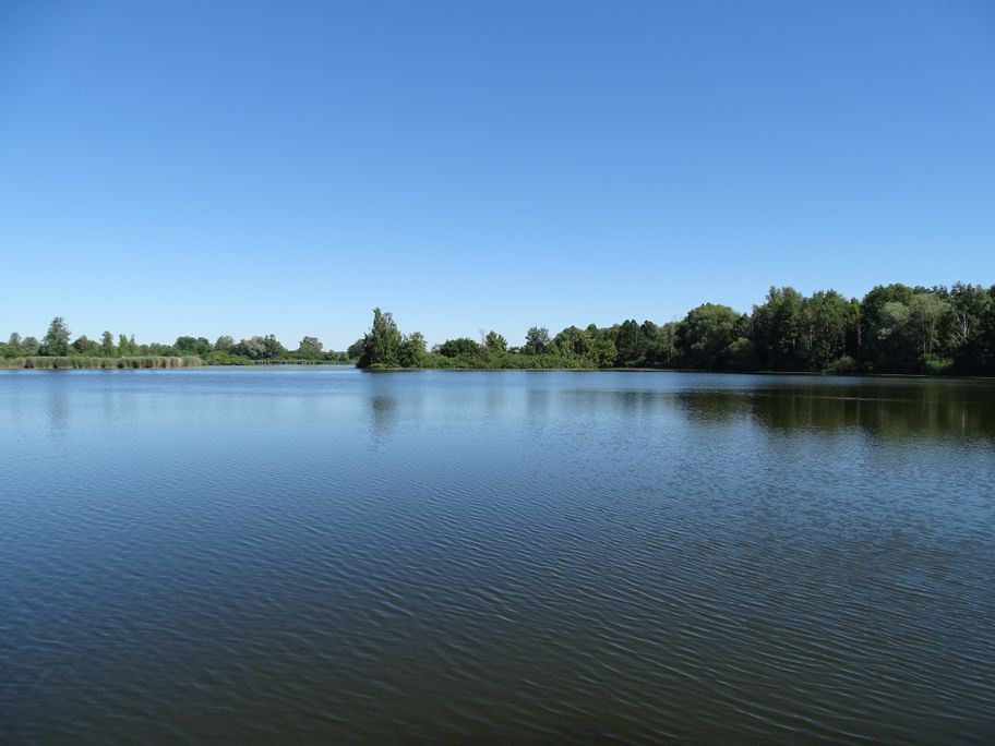 Nördlicher Mooswaldsee West