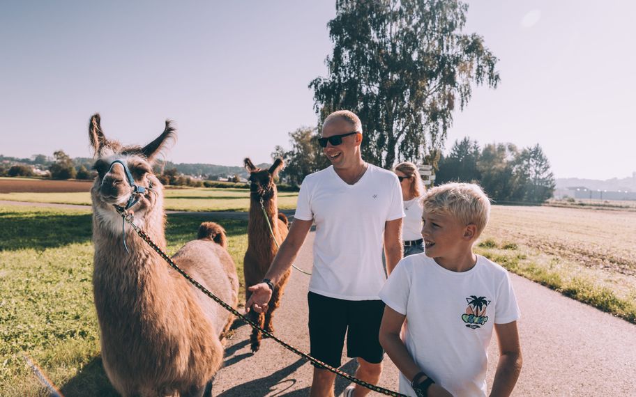 Familie bei einer Lamawanderung in Buch