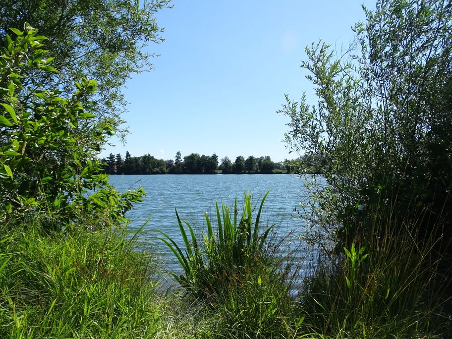 Südlicher Mooswaldsee Ost