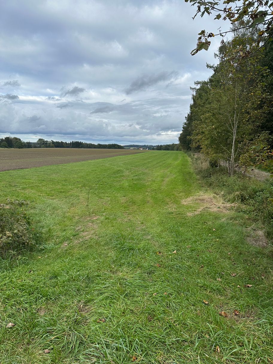 Grasweg Richtung Glaserhof