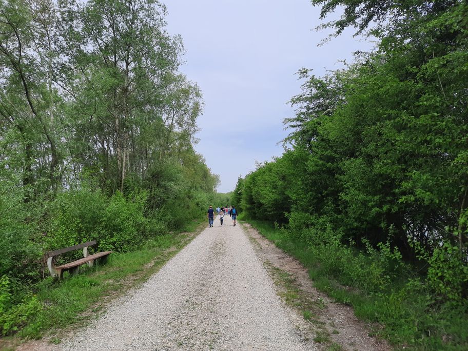 Weg zwischen den Weihern