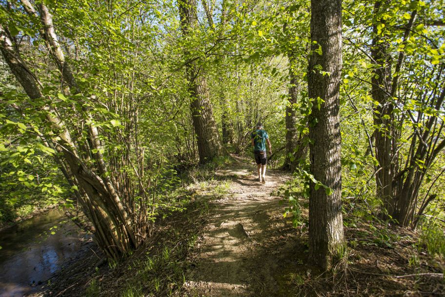 Roggenburg- Weiherrunde Bild Fouad Vollmer©Landkreis Neu-Ulm.jpg