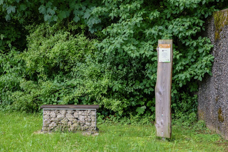 Meditationsweg, Welden_jcc by sa_Julia Pietsch(1).jpg