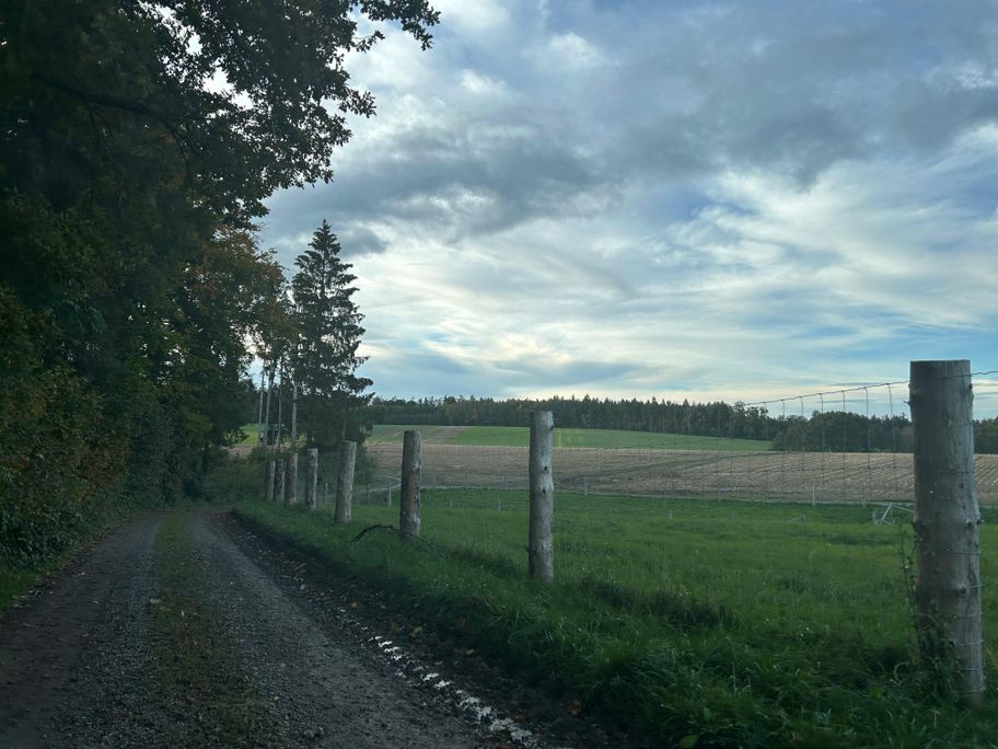 Rückweg nach Edenhausen